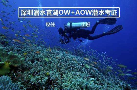 爷爷摔伤奶奶陪同就医 全程紧紧握着爷爷的手没松开过